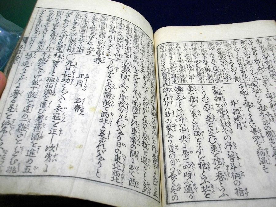 イメージ 5