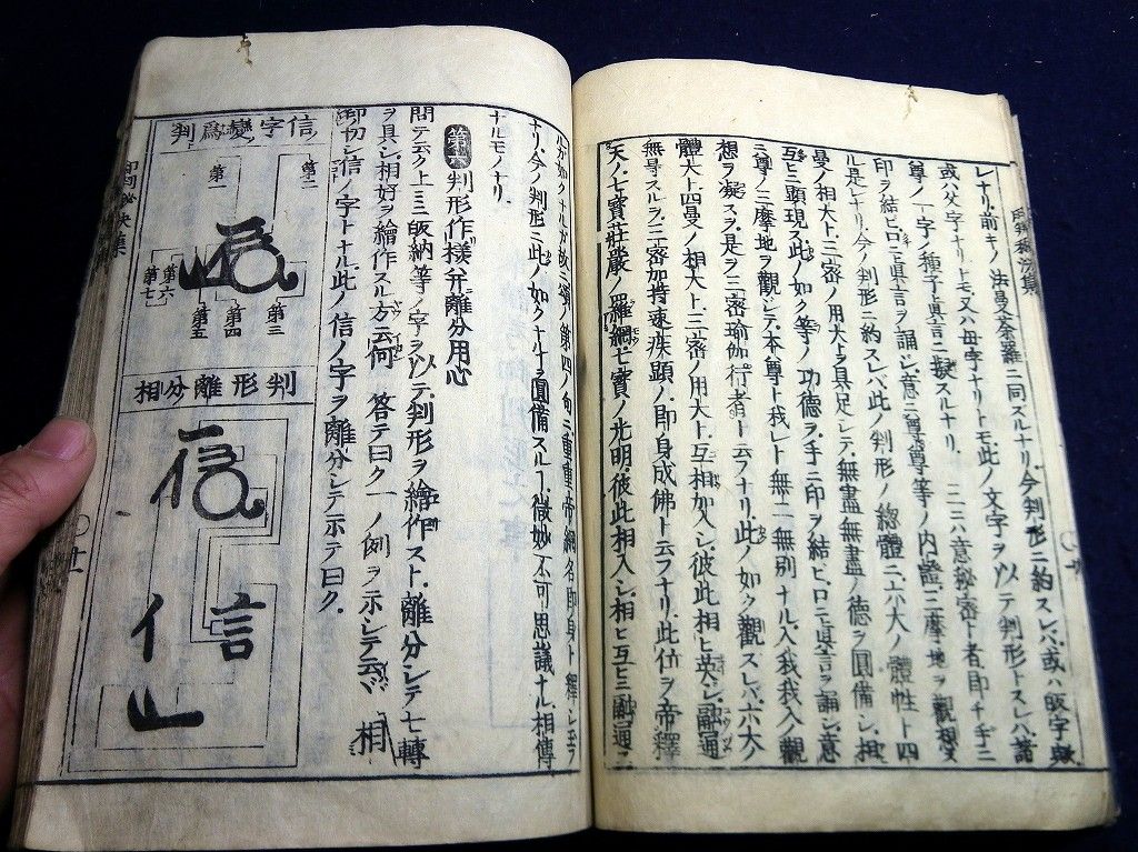 イメージ 8