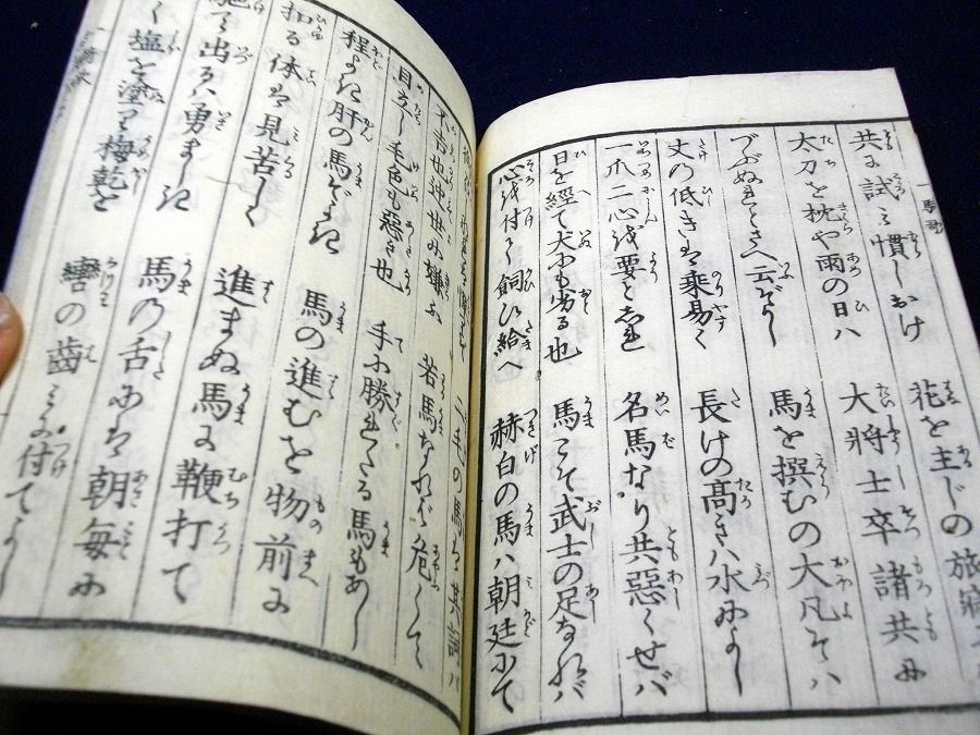 イメージ 4