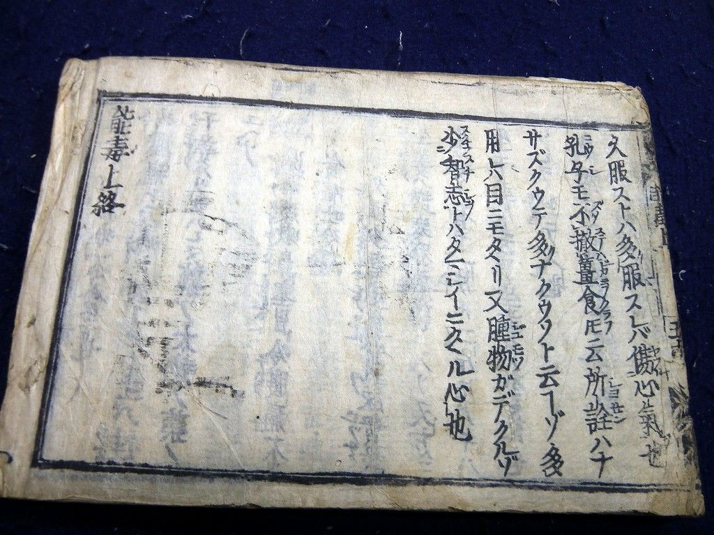 イメージ 8