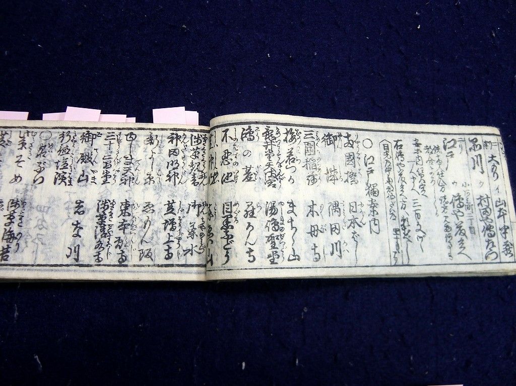 イメージ 5