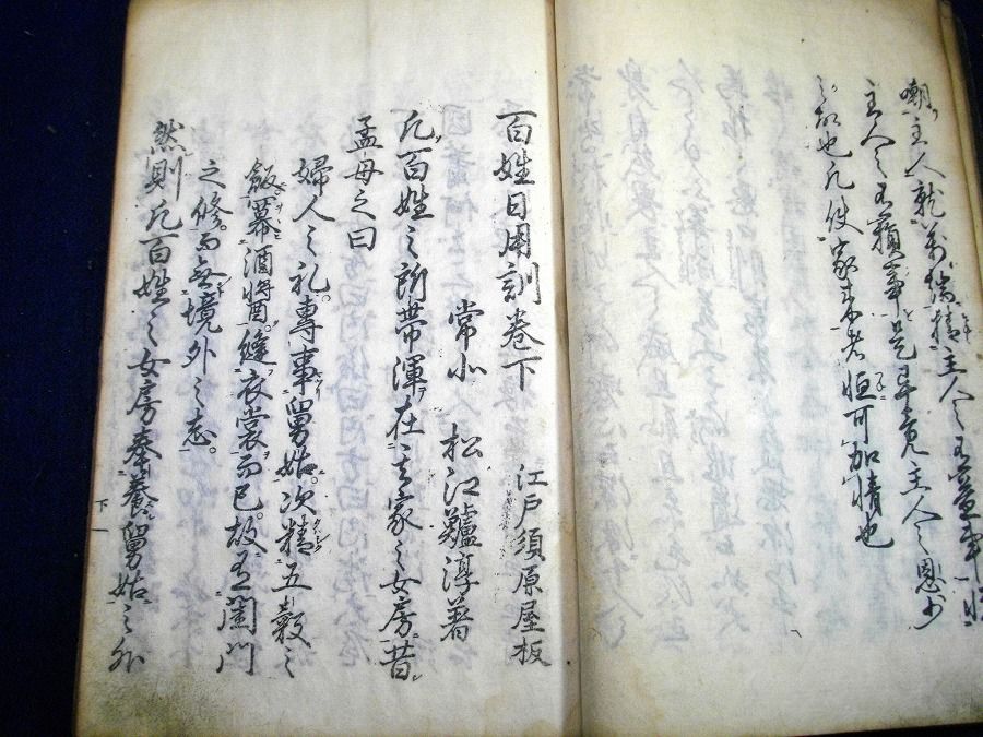 イメージ 5