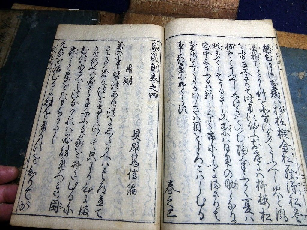 イメージ 6