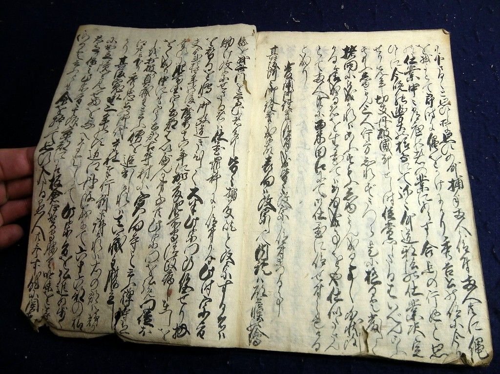 イメージ 8