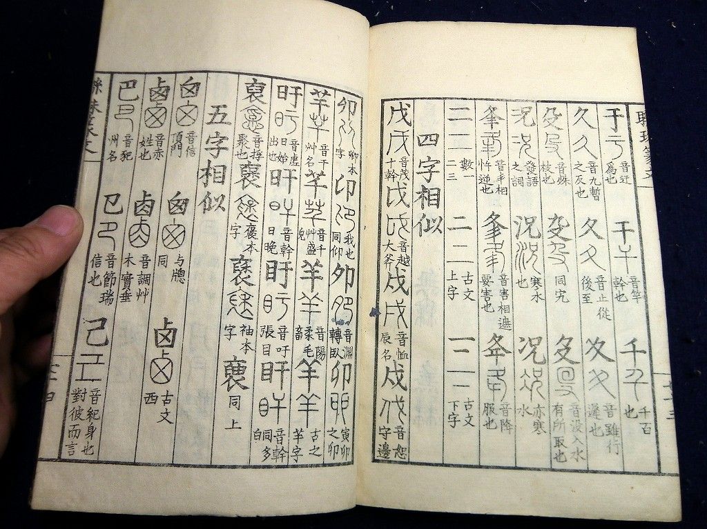 イメージ 8