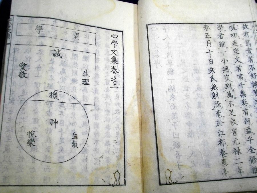 イメージ 4