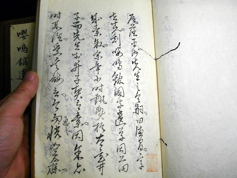 イメージ 2