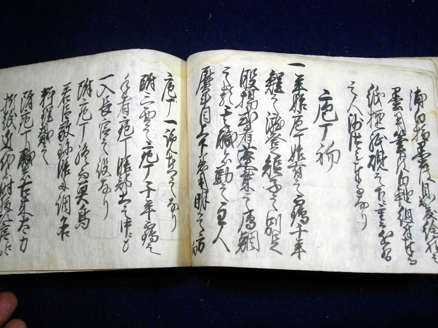 イメージ 4