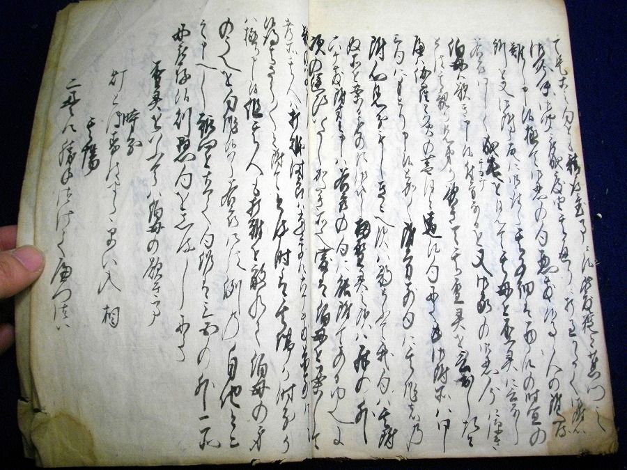 イメージ 7