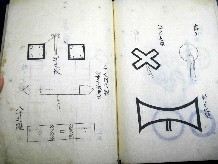 イメージ 5