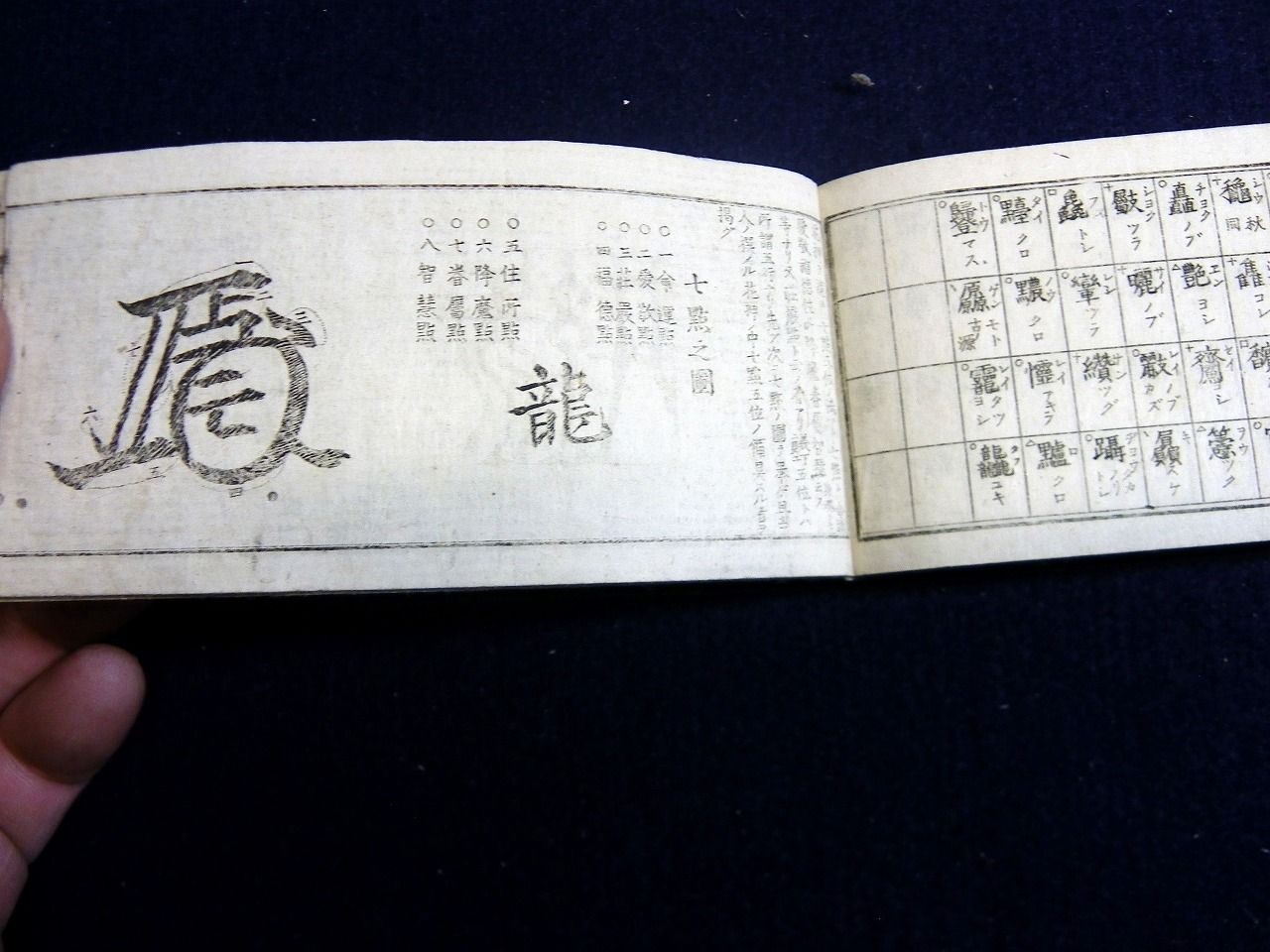 イメージ 7