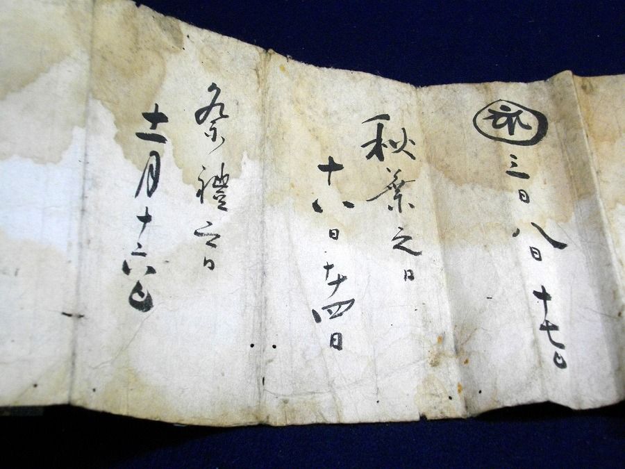 イメージ 6