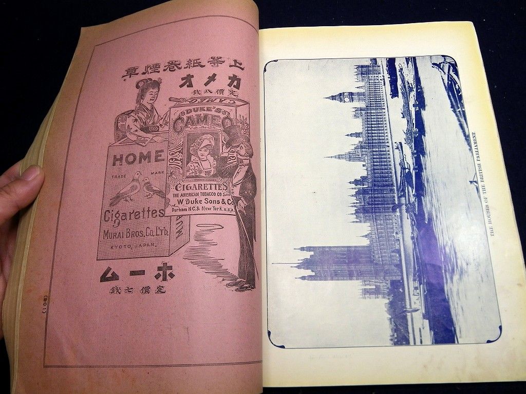 イメージ 5
