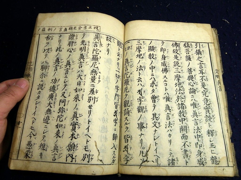イメージ 4