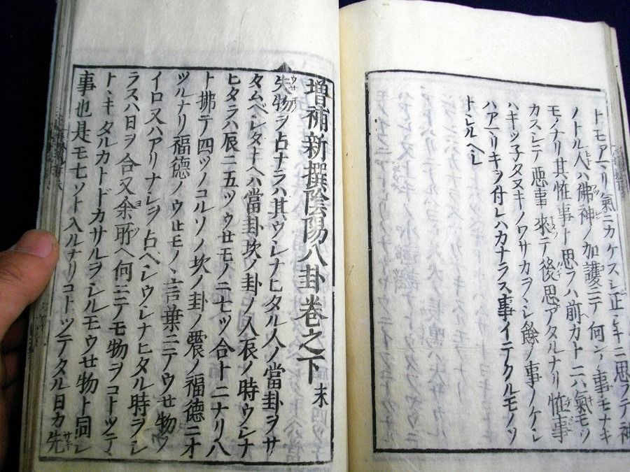 イメージ 7