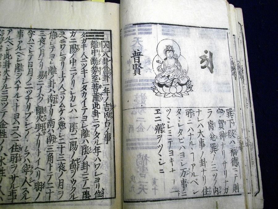 イメージ 4