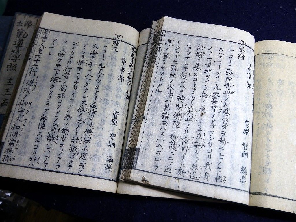 イメージ 3