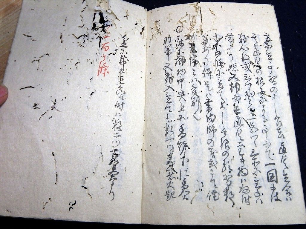 イメージ 5