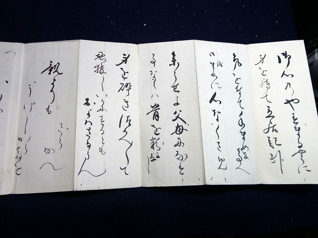 イメージ 7