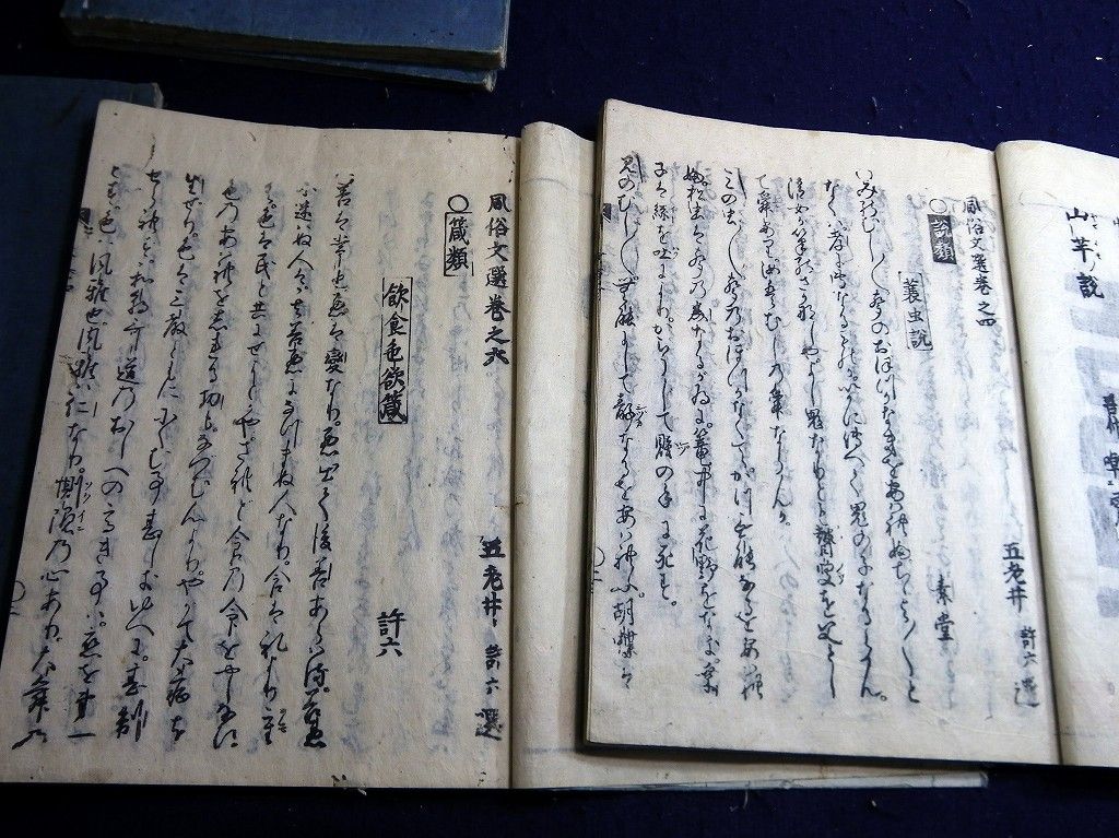 イメージ 6