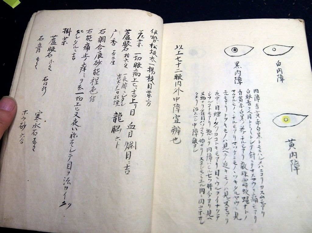 イメージ 12