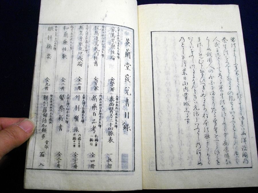 イメージ 7