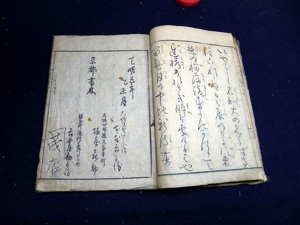 イメージ 7