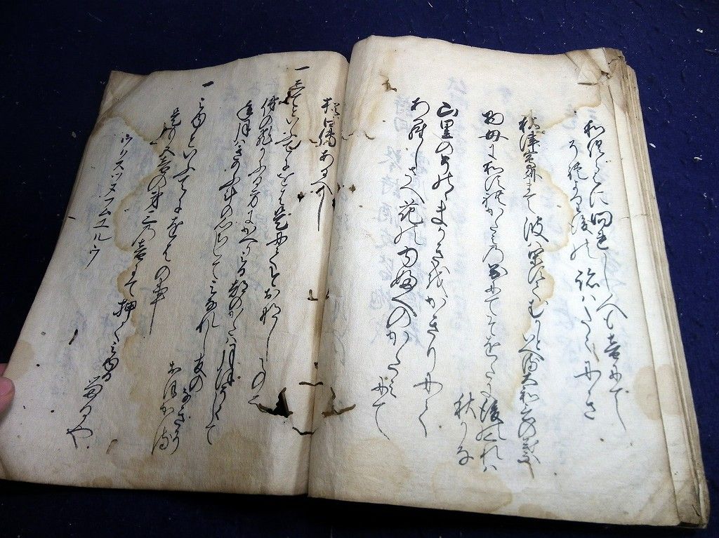 イメージ 11