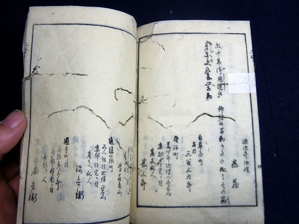 イメージ 6