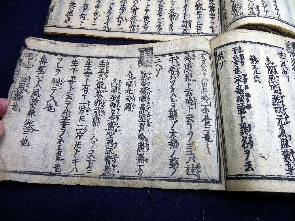 イメージ 7
