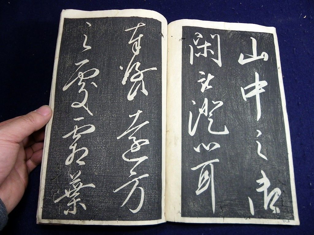 イメージ 7