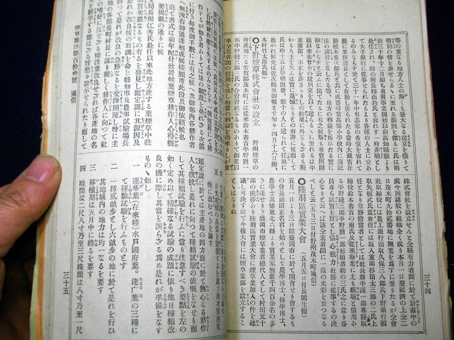 イメージ 6