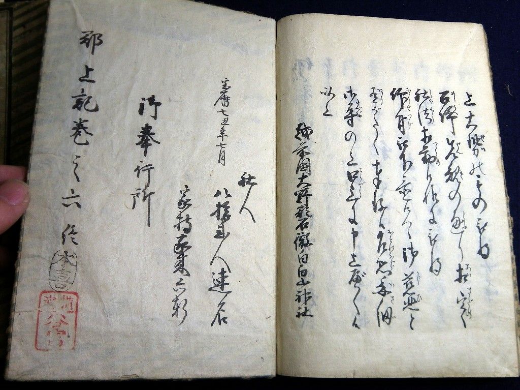 イメージ 5