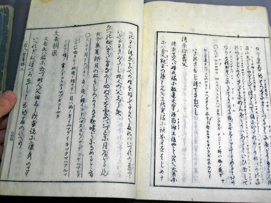 イメージ 5