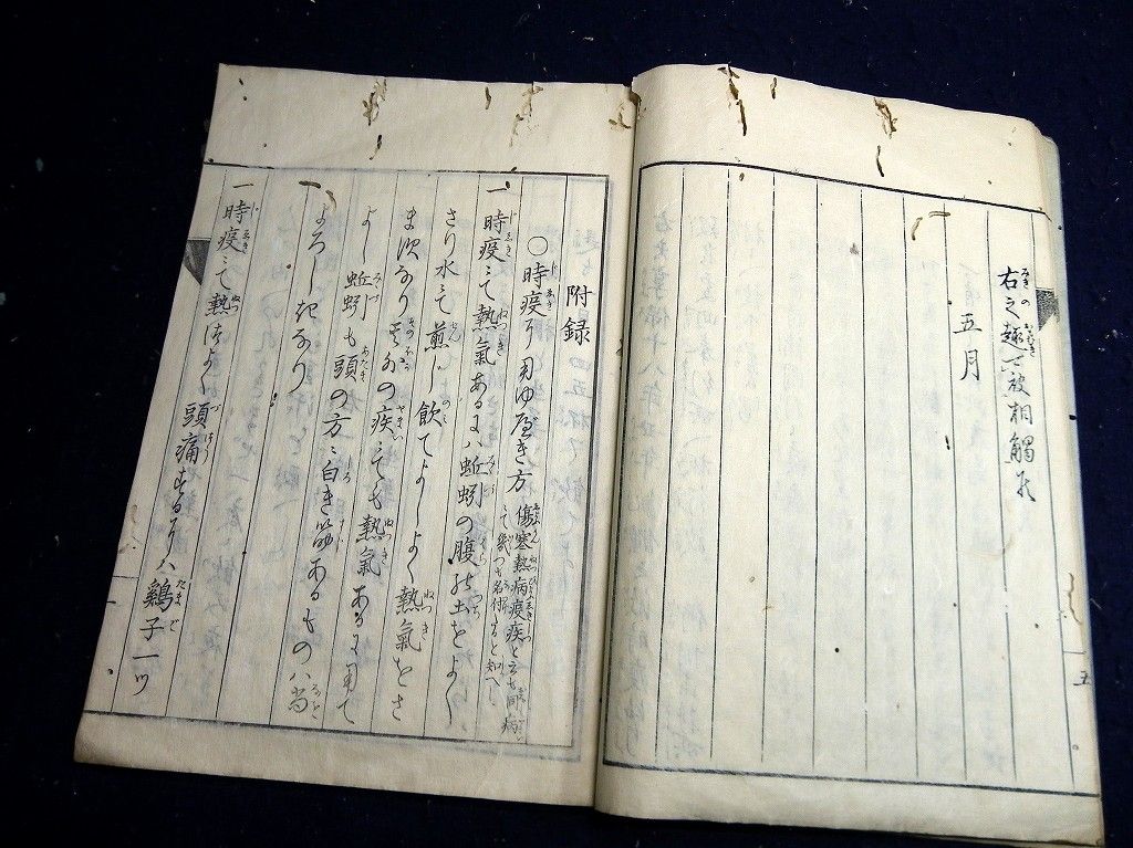 イメージ 7
