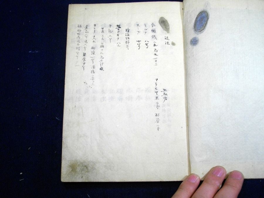イメージ 2