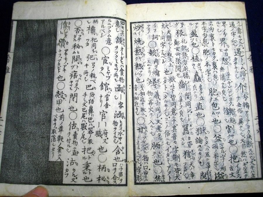 イメージ 7