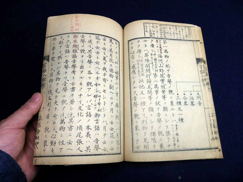 イメージ 6