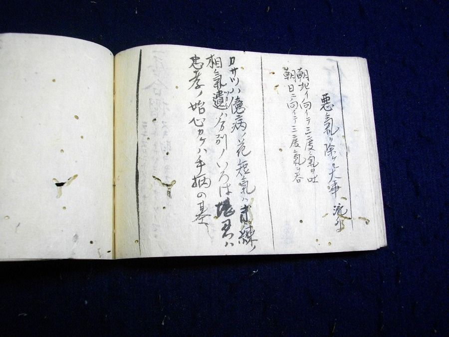 イメージ 10