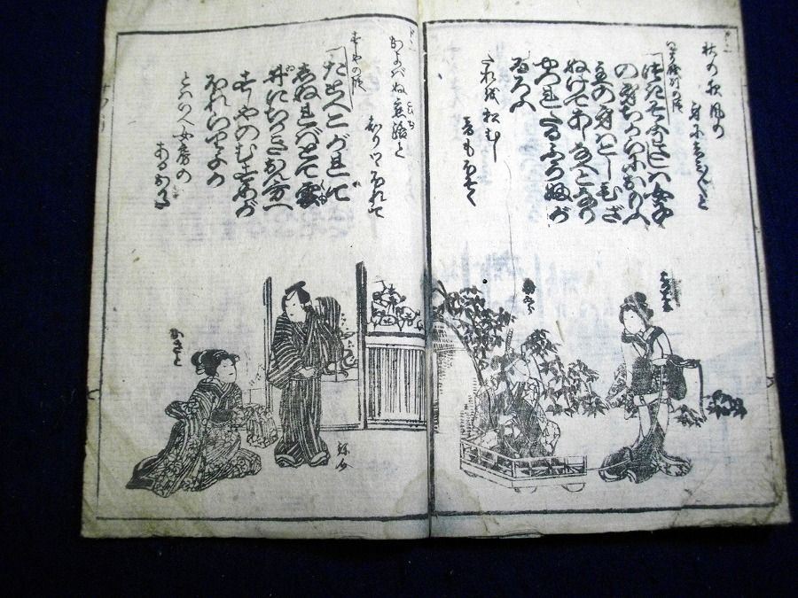 イメージ 8