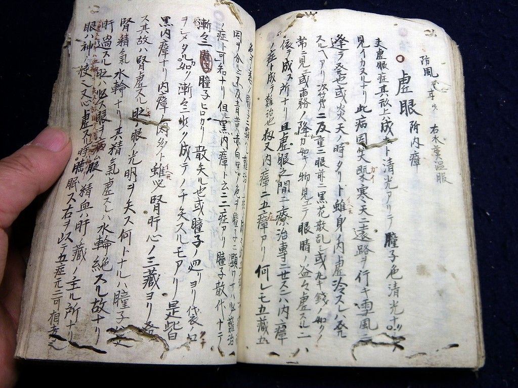 イメージ 7