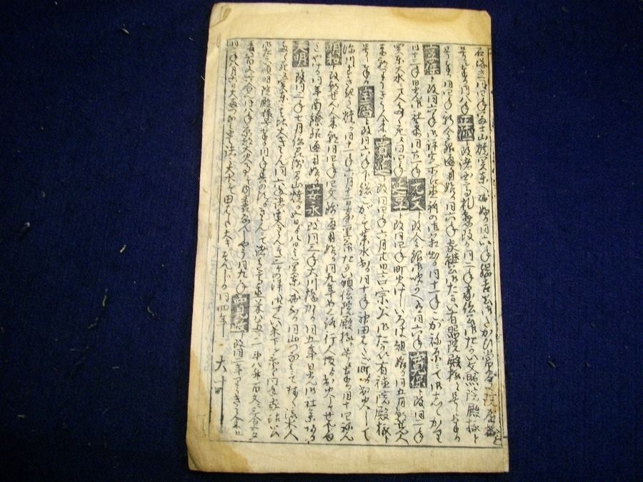 イメージ 3