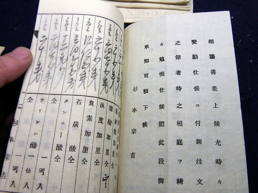 イメージ 6