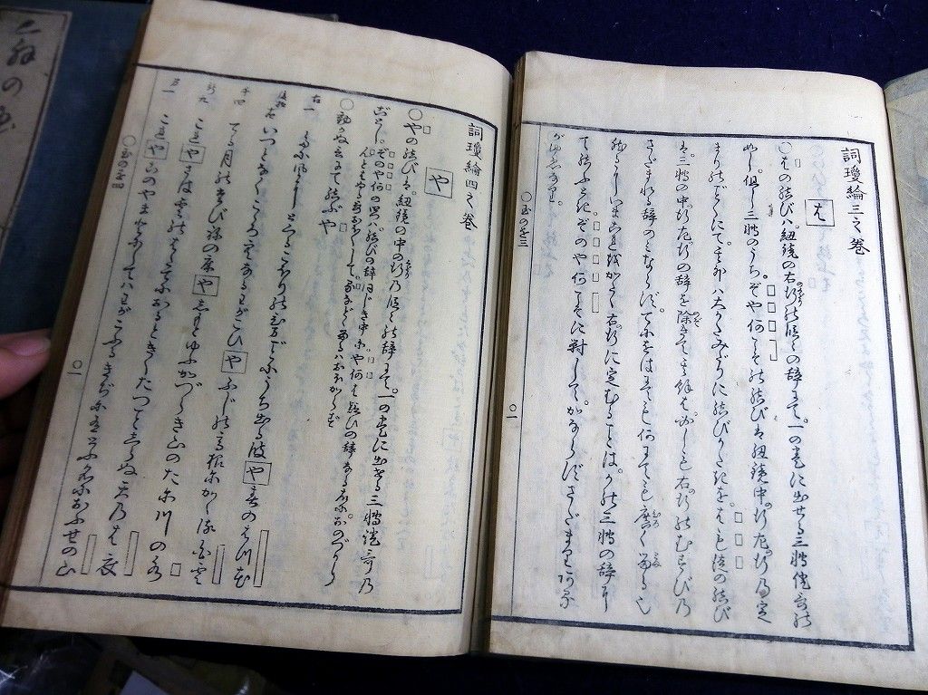 イメージ 5
