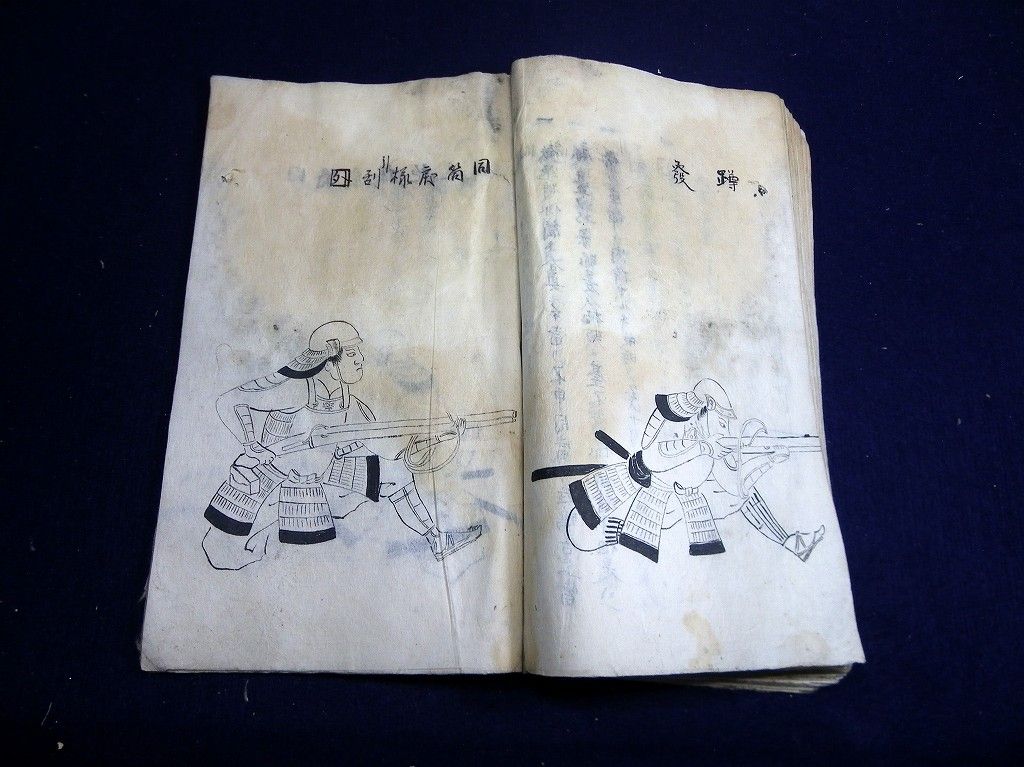 イメージ 7