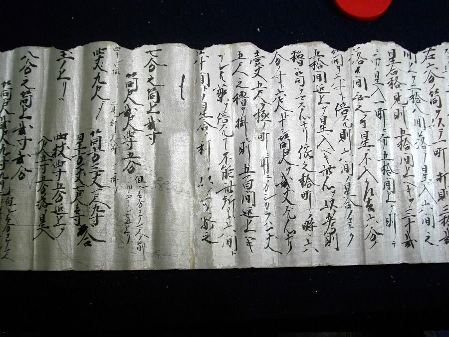 イメージ 5