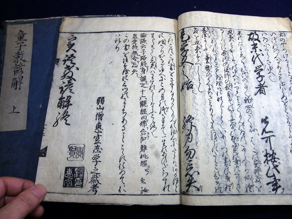 イメージ 5