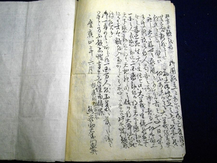イメージ 6