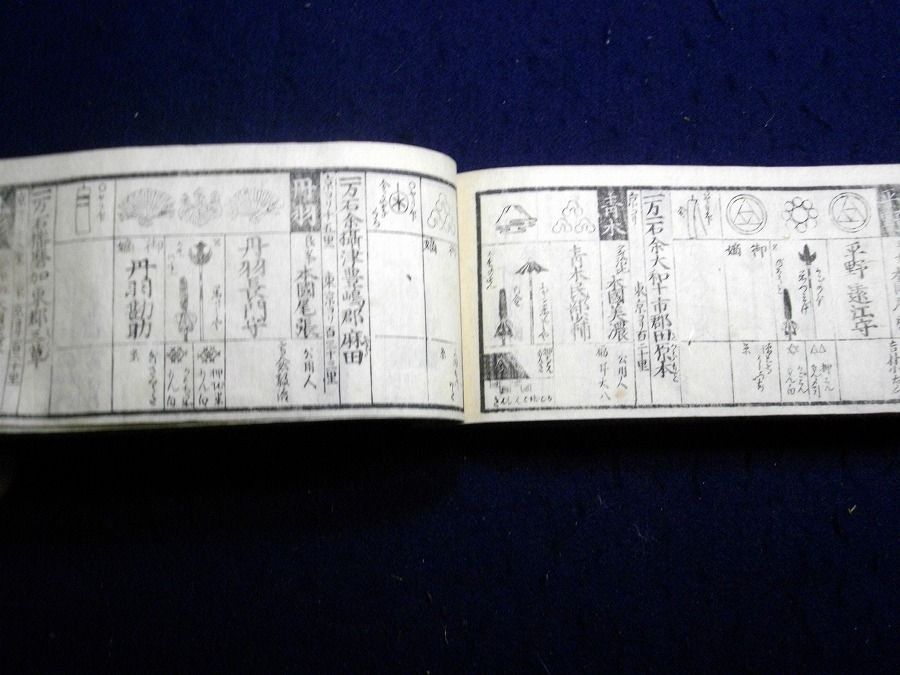 イメージ 7