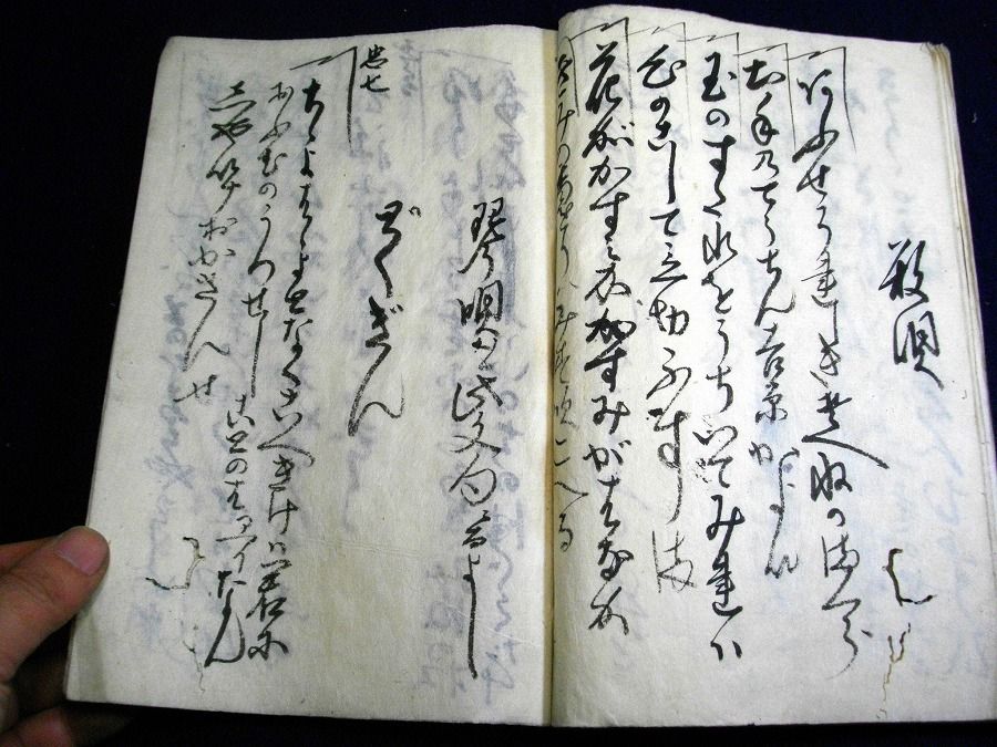 イメージ 5